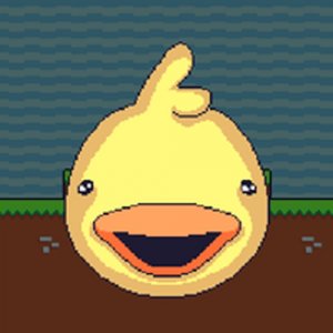DuckWAK Arcade Action