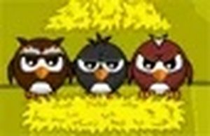 Cozy Chick Shelter Logic Puzzle