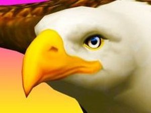 Eagle Ride Flying Arcade