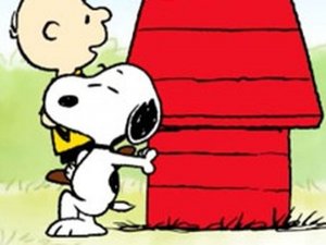 Snoopy Arcade Challenge
