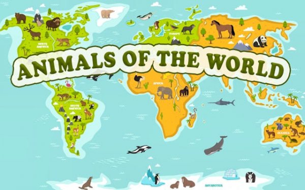 Animals of the World - Geography Learning Online Game