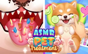 ASMR Pet Treatment Game