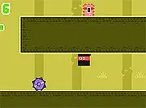Shadow Runner: Stealth Quest